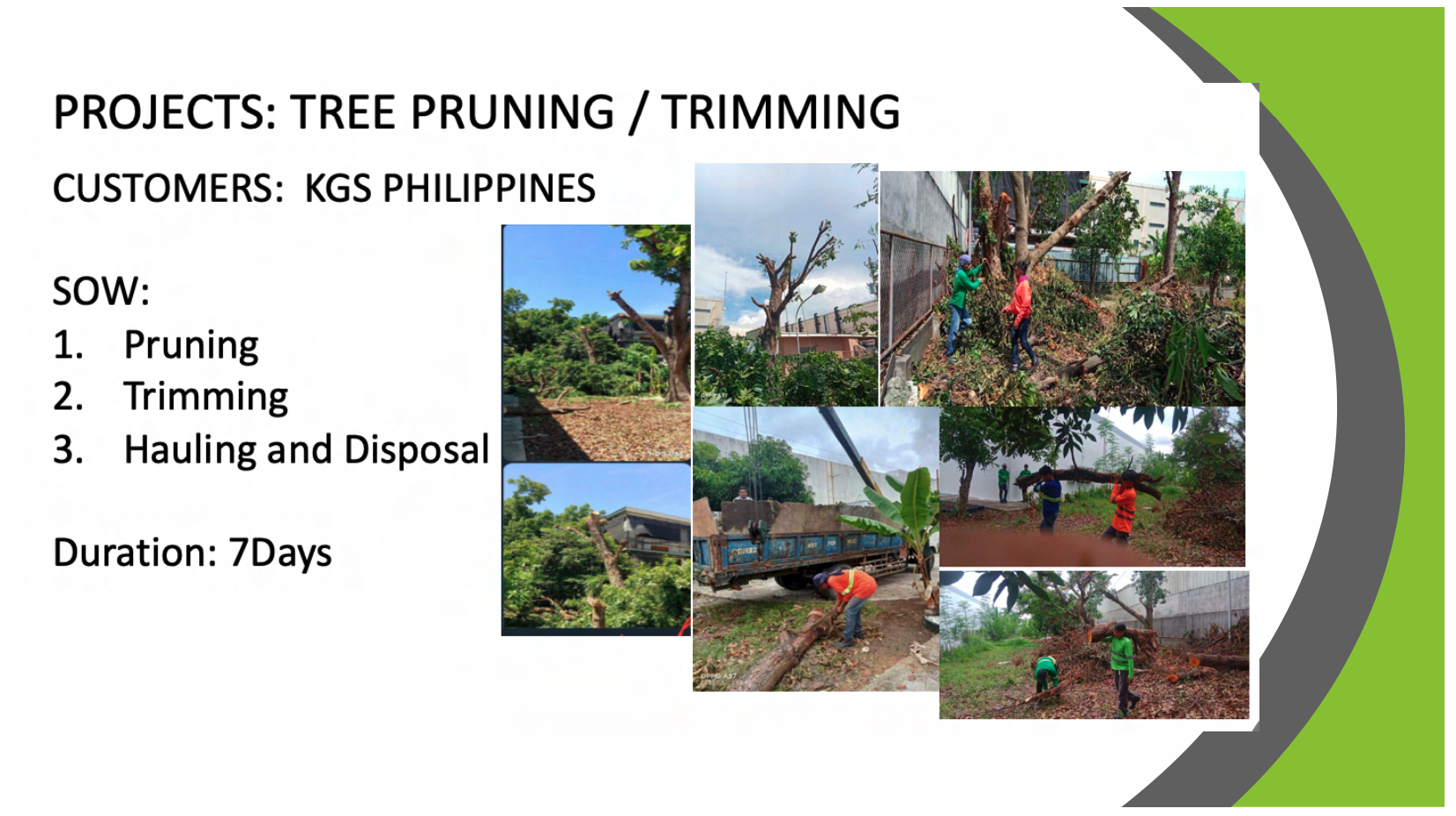PROJECTS: TREE PRUNING / TRIMMING